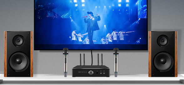 HLQ مكبر للصوت السلطة مع نظام كاريوكي 600W و 300W KTV