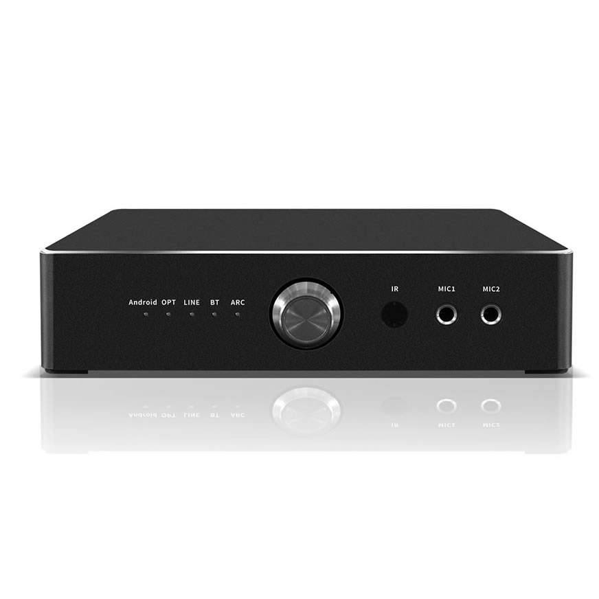 iHomeLife HLQ 600W 一体型カラオケアンプ